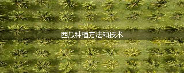 最完整的西瓜栽培管理技术大全（珍藏版）(西瓜种植方法和技术)
