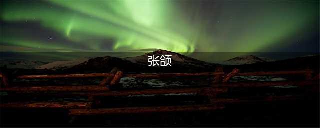 《权倾三国》张颌—连续输出，料敌先机(张颌)