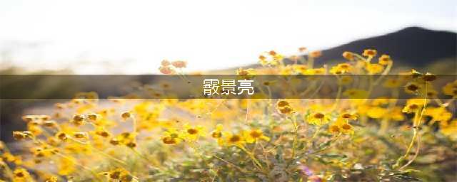 霰景亮严重违纪违法案剖析(霰景亮)