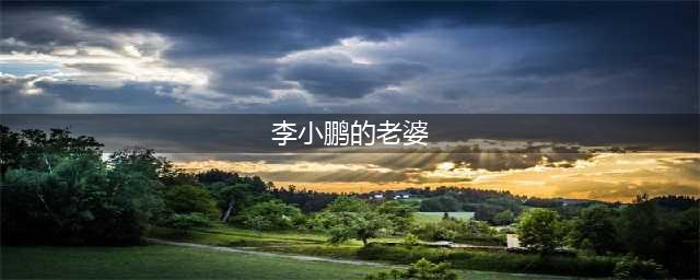 奥运冠军李小鹏，美满婚姻梦碎，妻子李安琪无法拯救(李小鹏的老婆)