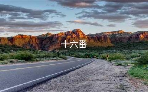 十六番怎么用 十六番使用方法(十六番)