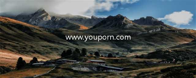 色情网站为什么如此成功(www.youporn.com)