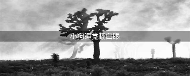 狗狗睡觉翻白眼是什么情况?有影响吗(小狗睡觉翻白眼)