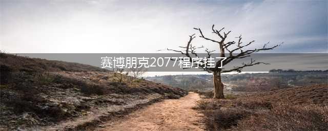 赛博朋克2077程序挂了解决方法一览