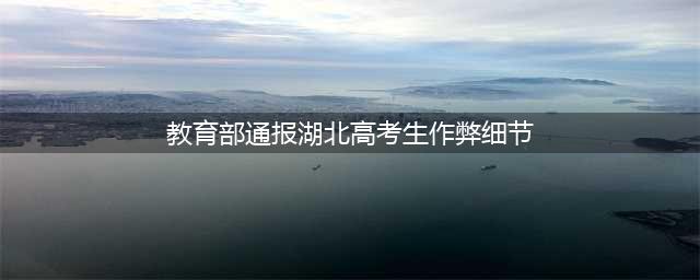 教育部通报湖北高考生作弊细节：不存在考前泄题，全链条彻查(教育部通报湖北高考生作弊细节)