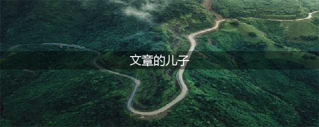 他是文章的“儿子”，13岁拿到飞行执照，如今褪去婴儿肥成帅小伙(文章的儿子)