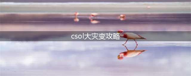 反恐精英OL大灾变攻略技巧详细教学