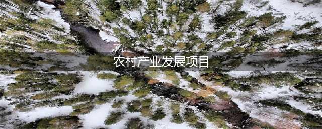 〔乡村振兴〕乡村振兴，哪些农业产业发展项目有政策支持？(农村产业发展项目)