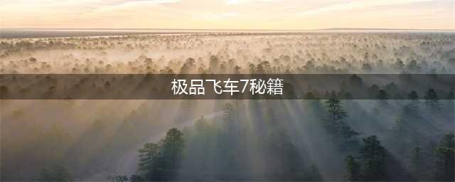 《极品飞车7地下狂飚》氮气加速有什么技巧 氮气加速技巧一览(极品飞车7秘籍)