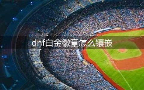 《dnf》白金徽章镶嵌哪里好 白金徽章最佳镶嵌攻略(dnf白金徽章怎么镶嵌)