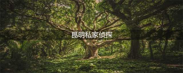 昆明有私家侦探，影影绰绰行走迷雾中(昆明私家侦探)