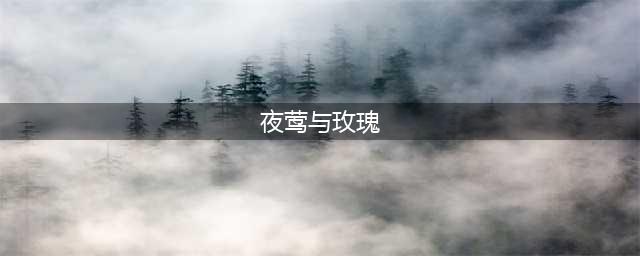 王尔德：夜莺与玫瑰（林徽因译）(夜莺与玫瑰)