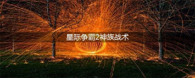《星际争霸2 虚空之遗》神族天梯入门战术打法解析
