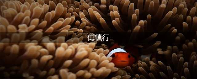 《阳光之下》原著，傅慎行到死都不知道，何妍为啥不爱他(傅慎行)
