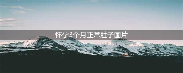 怀孕肚子部位变化一览？八张图深入解析(怀孕3个月正常肚子图片)