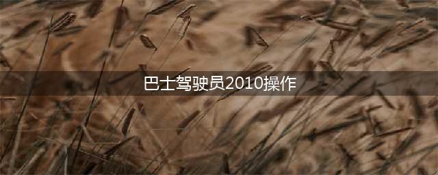 巴士驾驶员2010好玩吗？巴士驾驶员地图安装攻略(巴士驾驶员2010操作)