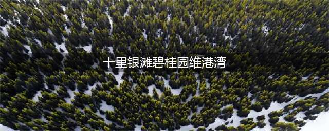 维港湾丨惠州-碧桂园(十里银滩碧桂园维港湾)
