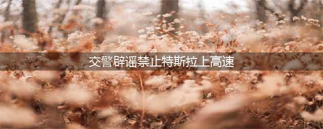 广州交警辟谣禁止特斯拉上高速：交通管制，不针对特定品牌(交警辟谣禁止特斯拉上高速)