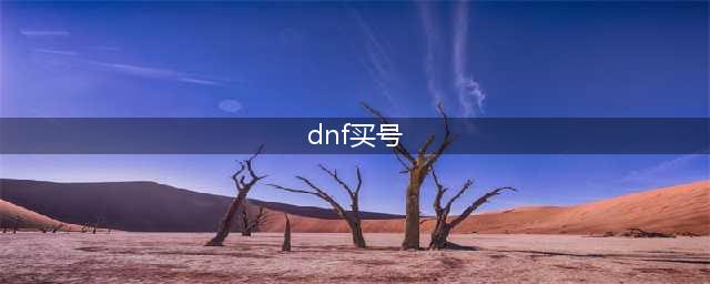 dnf买号哪个平台靠谱 最靠谱的dnf买号平台介绍(dnf买号)