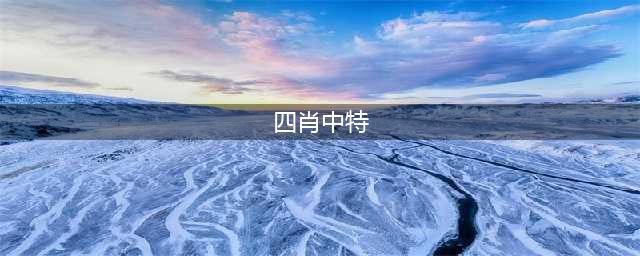 澳门四肖八码期期准中特更新注意事项(四肖中特)