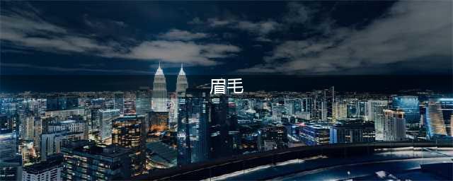 眉毛面相图解大全：28种眉毛类型图文详细分析！(眉毛)