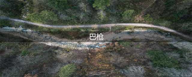 巴枪是什么？(巴枪)