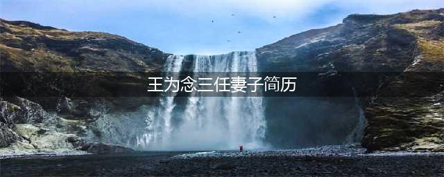 《大王小王》主持人王为念，结过三次婚的他让网友讨厌至极(王为念三任妻子简历)