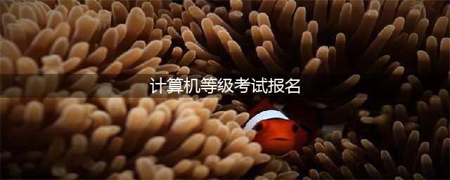 2024年计算机等级考试“报名时间”汇总！网上报名流程来了！(计算机等级考试报名)
