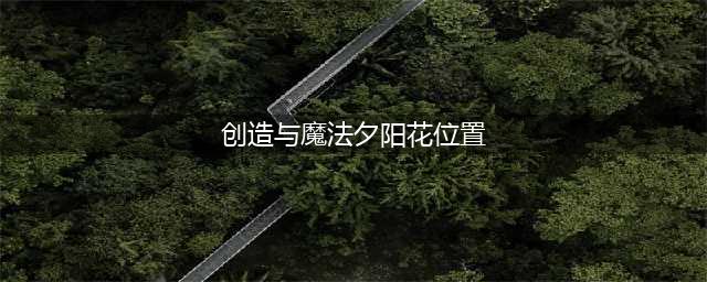 《创造与魔法》夕阳花位置一览 夕阳花在哪里