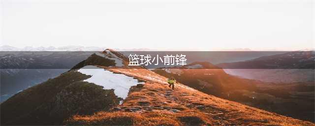 《街头篮球》小前锋怎么玩 小前锋实战技巧教学(篮球小前锋)