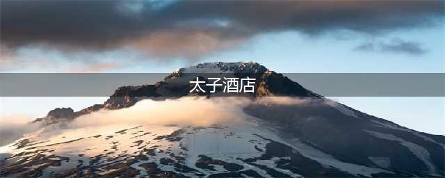 东莞“太子酒店”揭秘：年营收4118万，倒台后幕后老板锒铛入狱(太子酒店)
