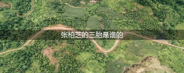 张柏芝3胎生父揭晓！谢贤谢霆锋早知实情，难怪孙东海着急撇清(张柏芝的三胎是谁的)