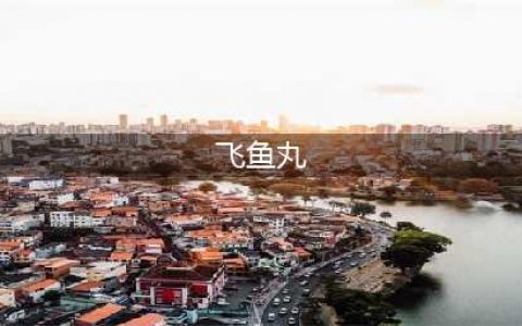 飞鱼丸配方如何获取(飞鱼丸)