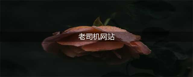 十大老司机必备的免费在线观影网站(老司机网站)