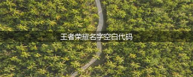 王者荣耀名字空白代码大全2022 空白名字设置教程