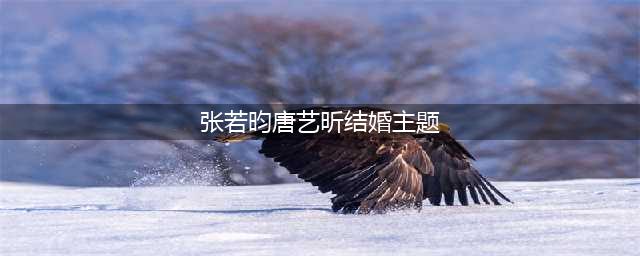 张若昀唐艺昕婚礼现场高清图，婚礼童话主题，新郎骑白马出场！(张若昀唐艺昕结婚主题)