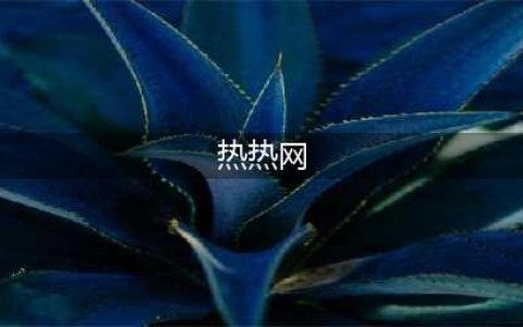 热网系统的两种型式(热热网)