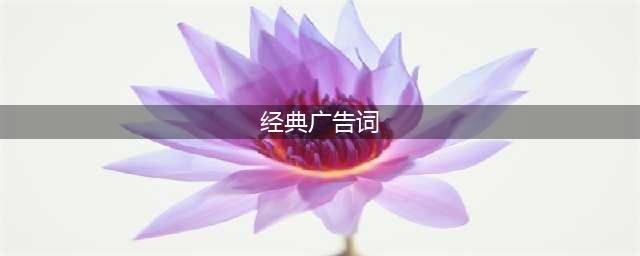 100个国内外经典广告语，句句皆艺术(经典广告词)