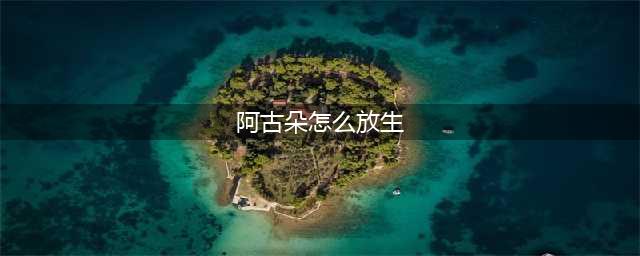 《王者荣耀》阿古朵怎么放生野怪 阿古朵放生操作方法攻略(阿古朵怎么放生)