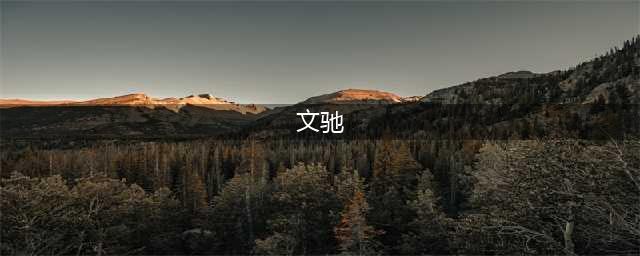文驰-资深网络影视媒体人(文驰)