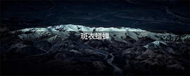 花姑娘——斑衣蜡蝉(斑衣蜡蝉)