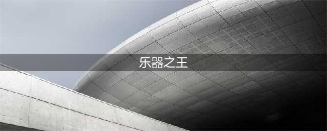 谁才是乐器之王？(乐器之王)