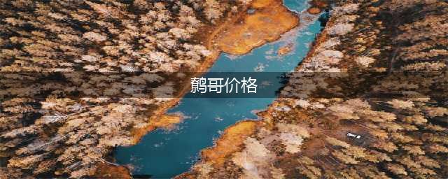 人类之外，还有哪些动物能口吐人言？(鹩哥价格)