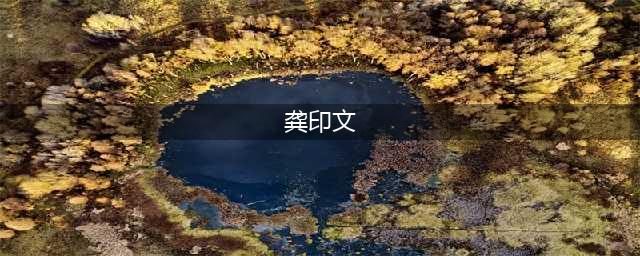 山东龚印文的覆灭史：爱上年轻姑娘，卷走40亿，在海外处处遭抢？(龚印文)