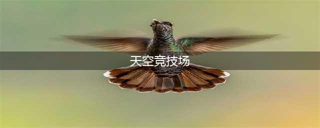 《创造与魔法》天空竞技场攻略 天空竞技场打法技巧分享(天空竞技场)