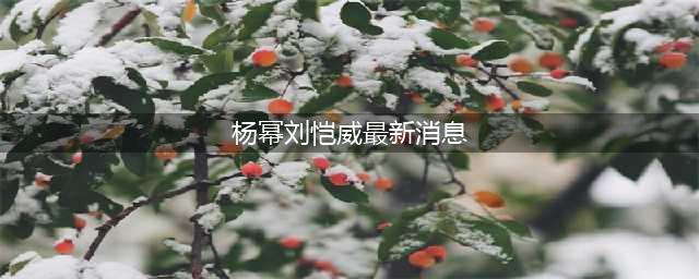 杨幂刘恺威最新近况机场甜蜜互动力破婚变谣言(杨幂刘恺威最新消息)