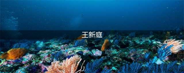 屡建奇功的解放军草根将领：王新亭(王新庭)
