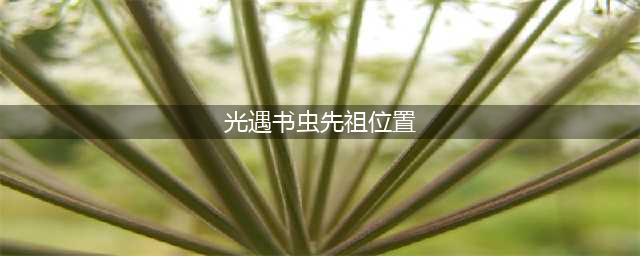 光遇书虫先祖位置详情