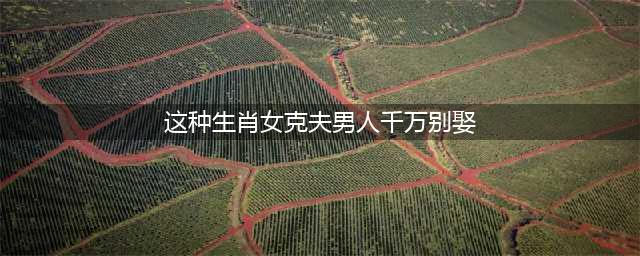 打死不能娶：懒惰无度，天生克夫，克子，婚姻难维持，容易二三婚的三大生肖女(这种生肖女克夫男人千万别娶)