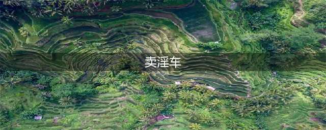 偏僻荒地现“夫妻卖淫车”！妻子车内交易，丈夫在外把风！已被捕(卖淫车)